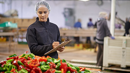 Ekspert zajmujący się testowaniem żywności