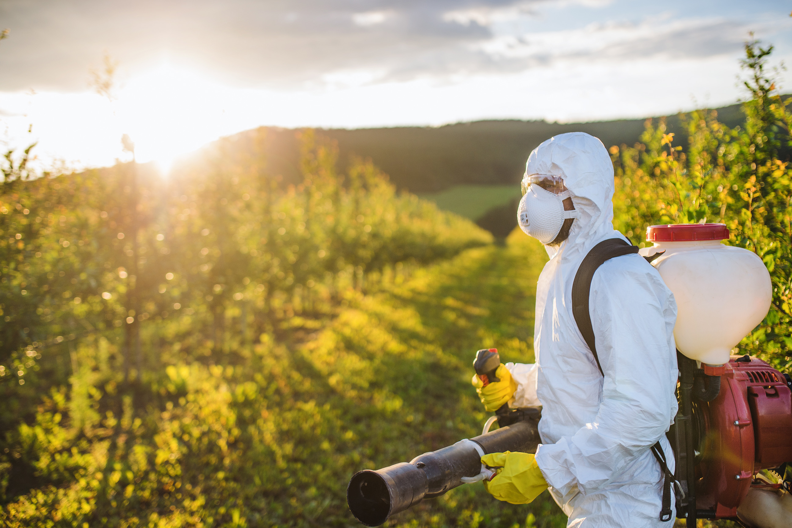 spraying pesticides in nature