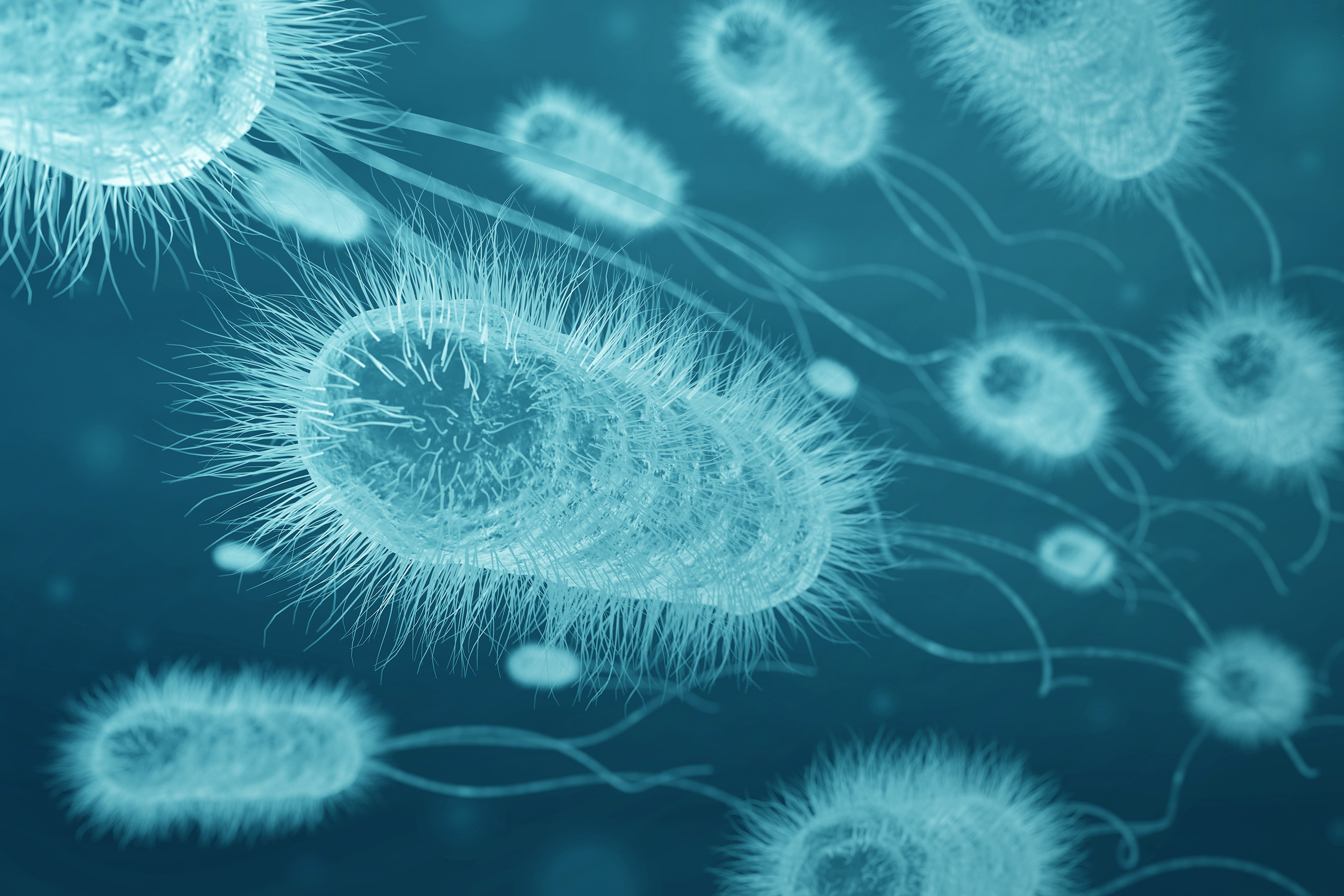 CGI closeup of bacteria