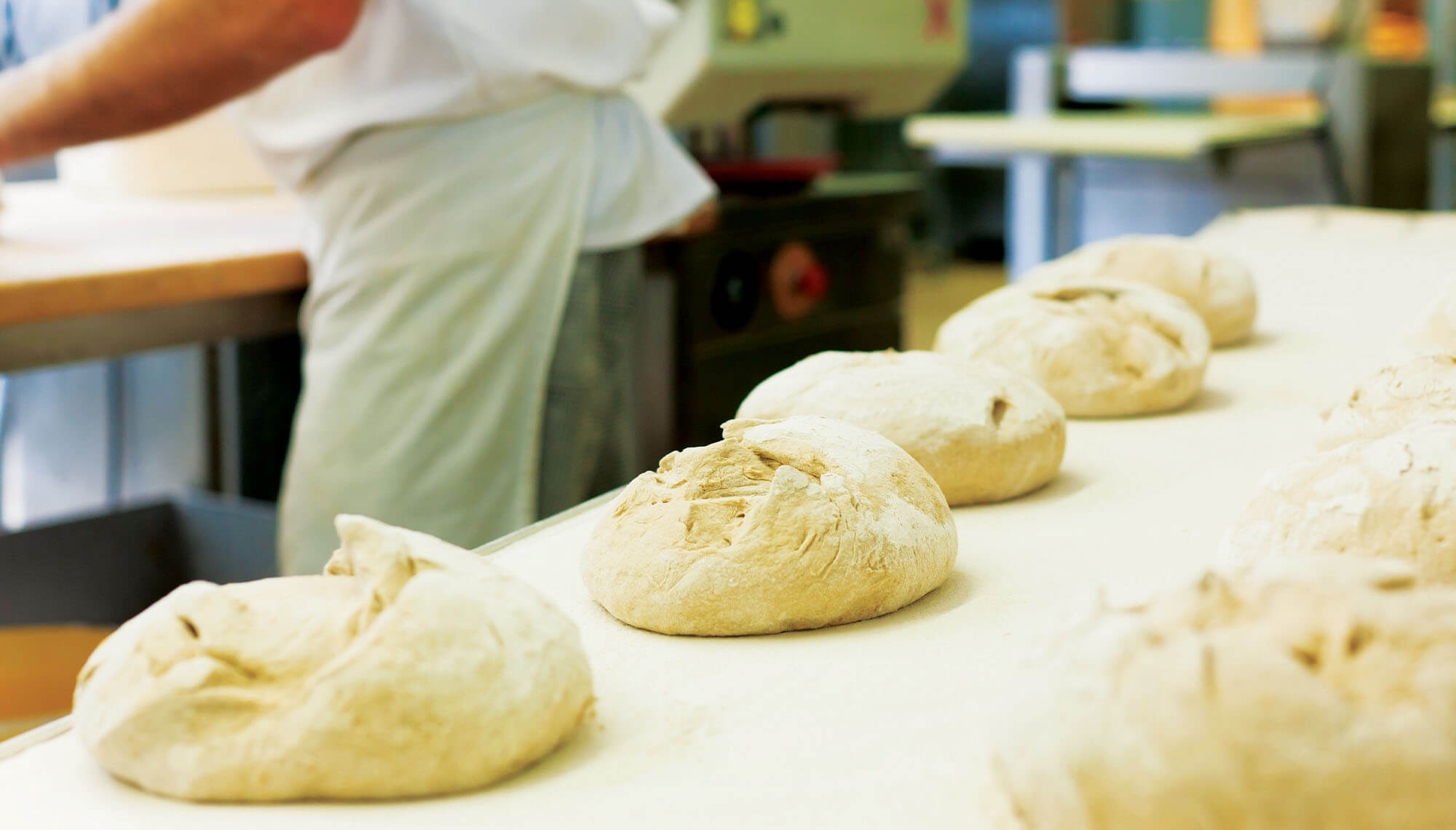 linia produkcyjna do wypieku chleba