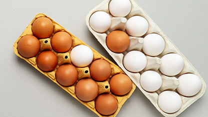 Eggs in box